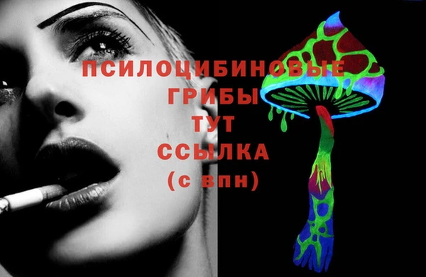 гидра Алзамай