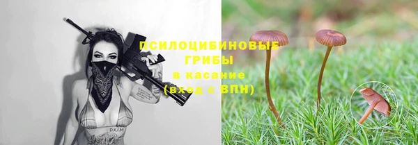 MDMA Зерноград
