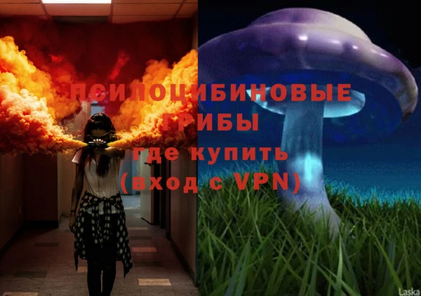 spice Алексеевка