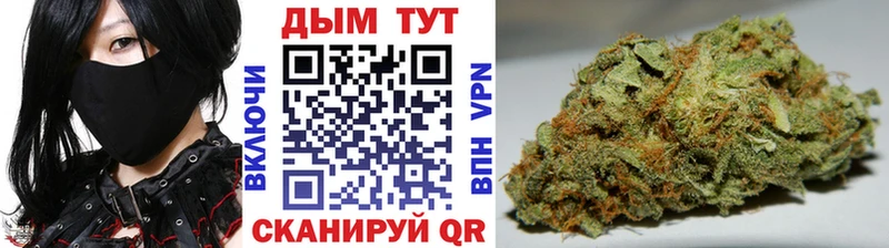 купить   Мышкин  МАРИХУАНА гибрид 